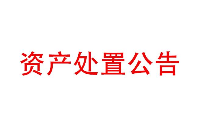 閑置設備資產處置公告（2022-4)